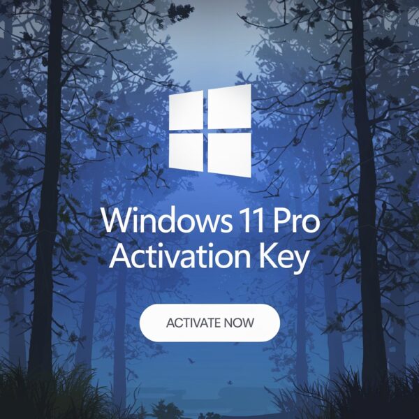 Windows 11 Pro Product Key - Image 3